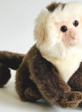 （代购）英国nature planet仿真白头卷尾猴capuchin毛绒玩具公仔