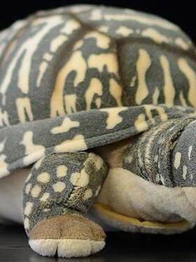 （代购）英国douglas仿真豹纹陆龟leopard tortoise毛绒玩具公仔