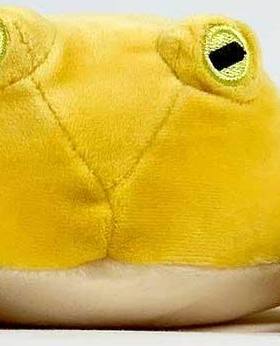 （代购）日本colorata金黄色金睛猪鼻蛙毛绒玩具公仔