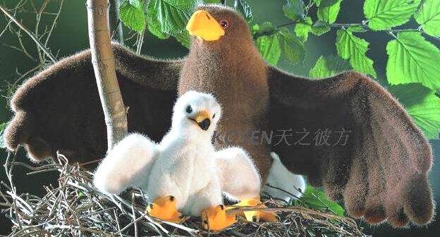 (代购)德国kosen仿真母子款金雕golden eagle毛绒玩具公仔