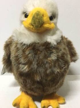 （定做）仿真白尾海雕white-tailed sea eagle毛绒玩具公仔