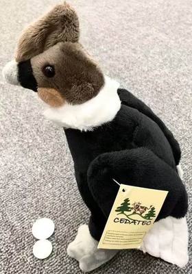 （定做）仿真康多兀鹫安第斯神鹫andean condor毛绒玩具公仔