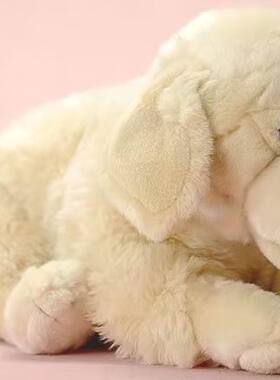 （定做）leonine仿真拉布拉多犬狗狗labrador毛绒玩具公仔