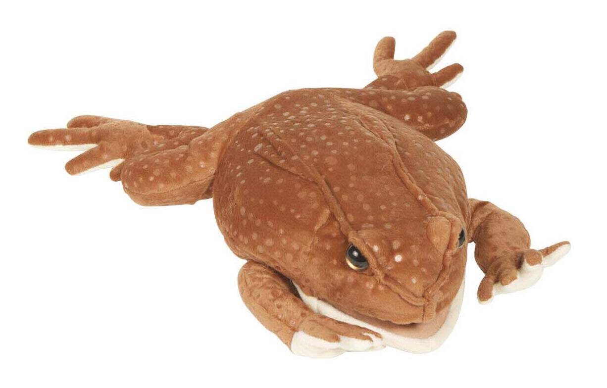 (代购)仿真巨型海蟾蜍marine toad毛绒玩具公仔手偶