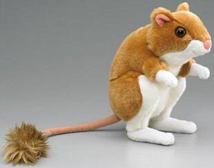 （定做）仿真沙漠长尾跳鼠jerboa毛绒玩具公仔