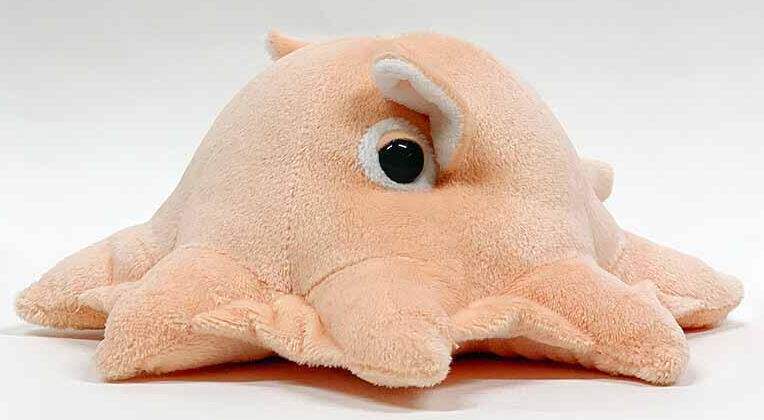 (代购)仿真小飞象章鱼dumbo octopus毛绒玩具公仔