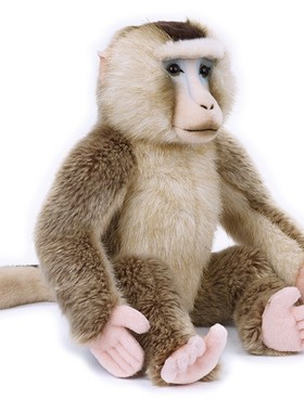 （现货+包邮）美国国家地理仿真豚尾猴macaque毛绒玩具公仔