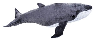 美国国家地理仿真座头鲸humpback毛绒玩具公仔 包邮 现货