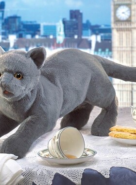 （现货+包邮）美国folkmanis仿真英国短毛猫毛绒玩具公仔