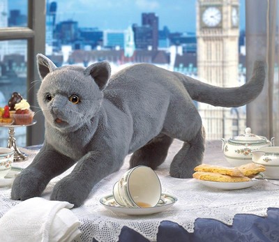 （现货+包邮）美国folkmanis仿真英国短毛猫毛绒玩具公仔