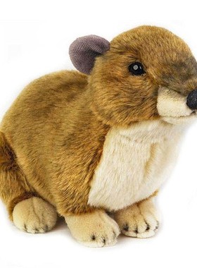 （现货+包邮）美国国家地理仿真岩蹄兔hyrax毛绒玩具公仔