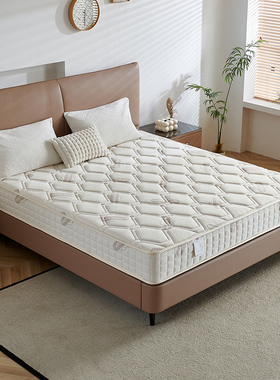 【玄武雅韵】麒麟软硬两用席梦思床垫1.8m床乳胶五区弹簧舒脊透气