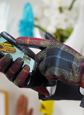 罗欧蒂斯英伦复古风哈里斯粗花呢男士冬季加绒加厚保暖触屏皮手套