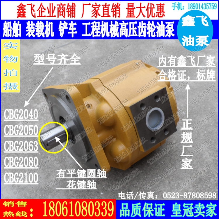 CBG2063 2080 2100 2040 2050¸ßҺѹ³ÝÂÖ±ÃCMG CBZ JHP CBGj b1r