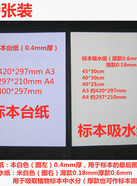 20张标本纸植物标本夹学生用树叶夹加厚吸水纸标本台纸A3A4 45*30