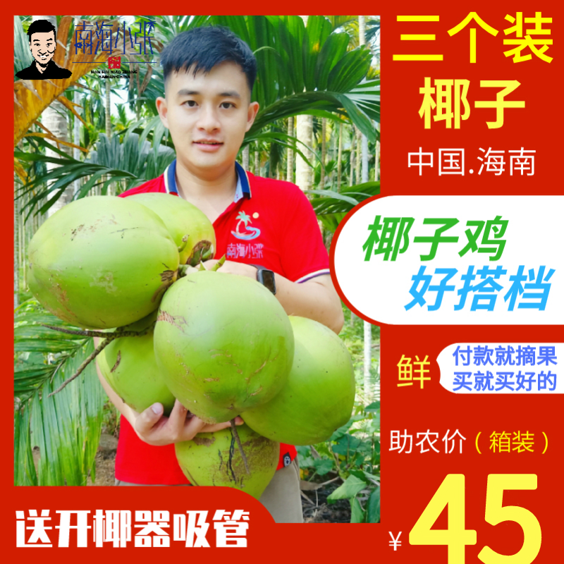 undefined3 Hainan Wenchang Coconut Child pregnant woman fruit fresh Peel specialty Coconutundefinedin the Aquatic meat/Fresh fruits and vegetables/Cooked , Fresh fruit , Coconut  category - from Buy2taobao.com to provide professional Taobao agent buy service
