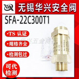 无锡华兴制冷机冷冻机SFA-22C300T1 CSA-12C300C低温氟利昂安全阀