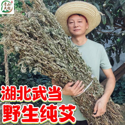 武当端午节艾草整棵带杆挂门熏屋驱蚊干艾草叶泡脚艾叶野生晒干