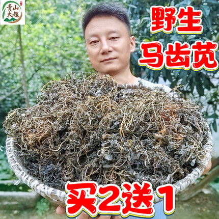 新货马齿苋菜干野生新鲜晒干马齿笕做包子食用泡茶泡澡中药材干货