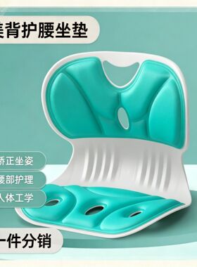 儿童成人护腰矫姿坐垫护脊美臀