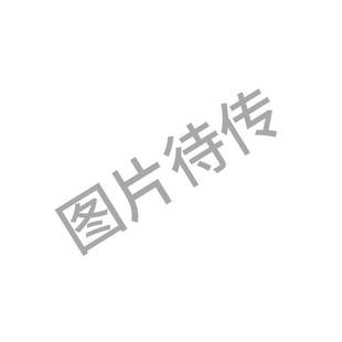 非实价议价议价厂家直销日本星塔eins 夹持模组 钢管系列 φ20