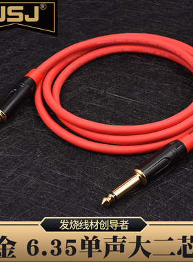 JSJ 6.5大二芯音频线 单声6.35公对公音箱无线话筒吉他线调音台线