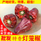 新货特香微辣 柿子椒 产地直发 精品红灯笼椒大果 贵州特产
