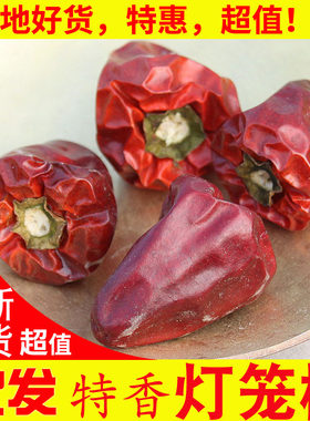 贵州特产 精品红灯笼椒大果 柿子椒 新货特香微辣 产地直发