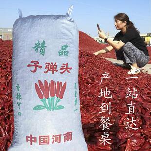 产地直发 河南子弹头红辣椒干 辣椒段 特香微辣无蒂无帽 餐饮采购