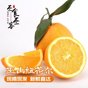 巫山曲尺纽荷尔脐橙礼盒装大果现摘现发带叶精品脐橙广柑