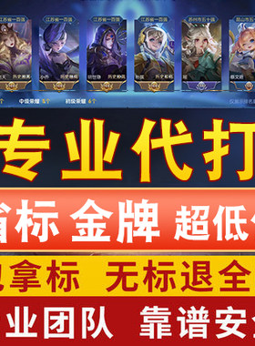 王者荣耀代练陪练代打排位战力巅峰赛随机省标金牌任意小国标包标