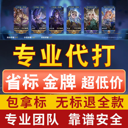 王者荣耀代练陪练代打排位战力巅峰赛随机省标金牌任意小国标包标