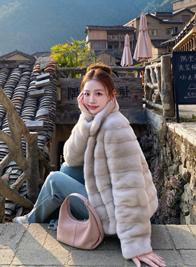 巨好看的中古立领横排仿水貂绒环保皮毛一体皮草毛毛短外套女冬季