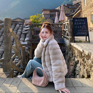巨好看的中古立领横排仿水貂绒环保皮毛一体皮草毛毛短外套女冬季
