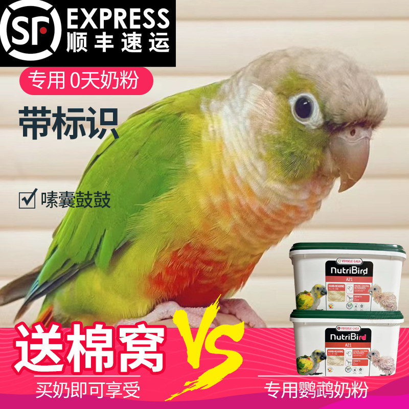 小太阳凤梨黄边肉桂绿颊和尚标识小鸟类专用混合粮雏鸟蛋小米奶粉