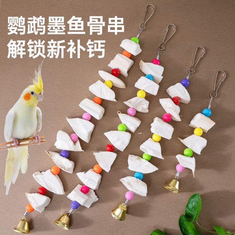 墨鱼骨墨鱼骨补钙鹦鹉
