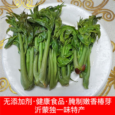 新鲜香椿芽咸菜山东特产2024新鲜腌制香椿头下饭菜酱菜头茬香椿