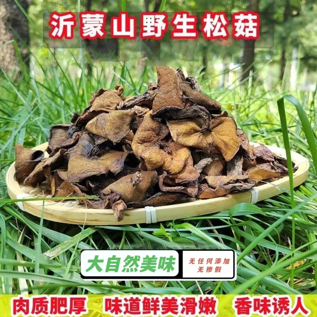 松菇野生松蘑菇山蛾子沂蒙山食用菌粘团子山货干货炖鸡料山东特产