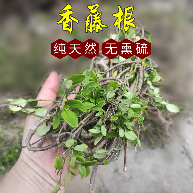 香藤根中药材500香藤子过山香满山香春根藤食用汤料草药包邮