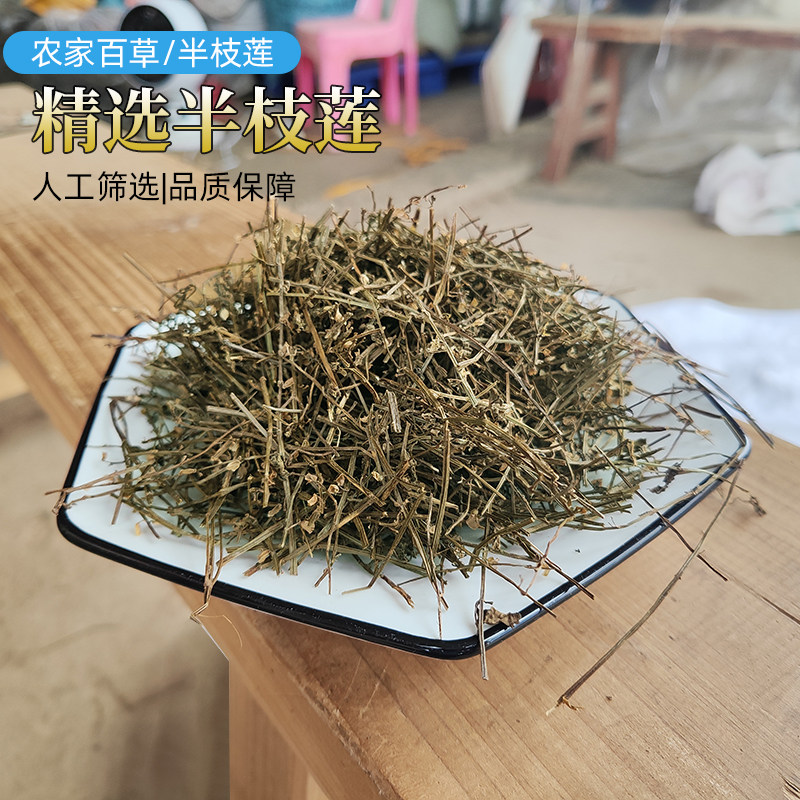 梅州野生半枝莲500g韩信草牙刷草四方马兰紫连草去头切中药材包邮