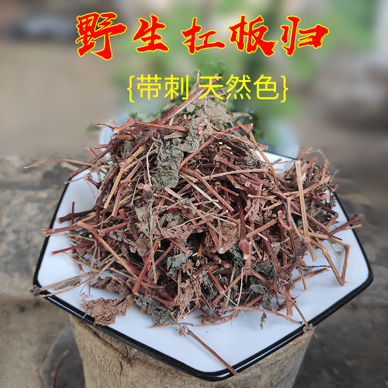 护肤洗澡野生新品扛板归500g干货百罗舌河白犁头草 蛇倒退中草药