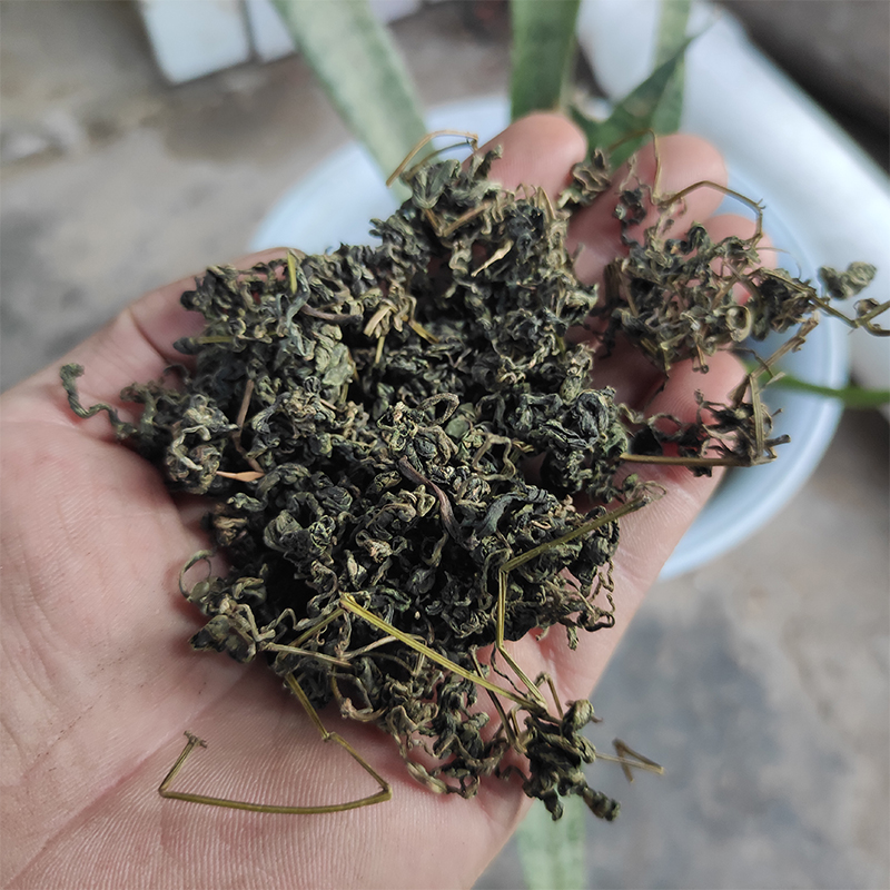 农家自晒 正宗 五叶神 绞股蓝茶干品500g 客家草药