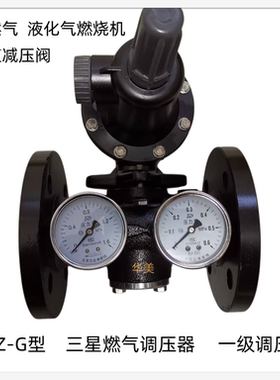 燃气减压阀RTZ/G调压器液化气天然气燃烧机调压阀锅炉管道稳压器