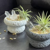 天然白水晶簇原石办公室桌面玄关摆设高级消磁净化礼物水晶盆栽