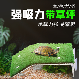乌龟晒台爬台高水位晒龟台爬坡龟缸深水乌龟缸爬坡爬梯鱼缸龟用品