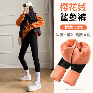 加绒鲨鱼裤女外穿秋冬新款收腹提臀瑜伽瘦腿芭比裤保暖加厚打底裤