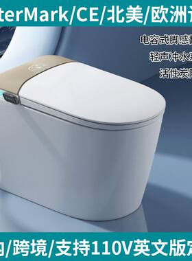 Watermark认证CE认证智能马桶虹吸超漩式无水压限制泡沫盾座便器