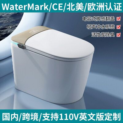 Watermark认证CE认证智能马桶虹吸无水压限制泡沫盾座便器M979