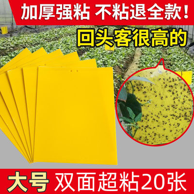 黄板双面粘虫板诱虫板粘蚊虫贴纸