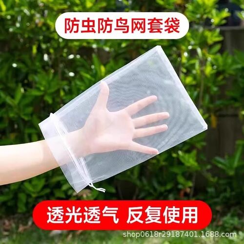 水果套袋防鸟网纱袋防虫专用袋